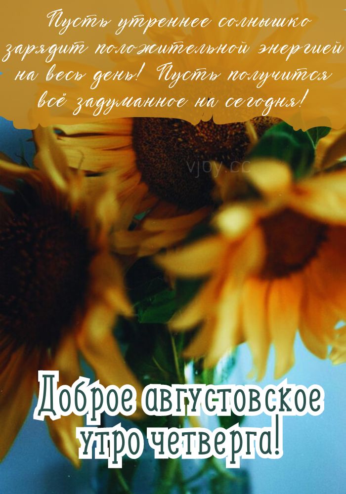 С добрым августовским утром четверга! - картинка. 