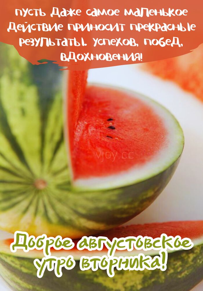 С добрым августовским утром вторника! - картинка. 