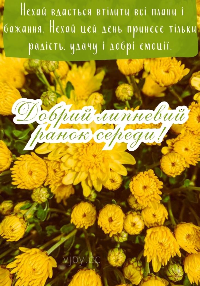 Прекрасного липневого ранку середи! - картинка. 
