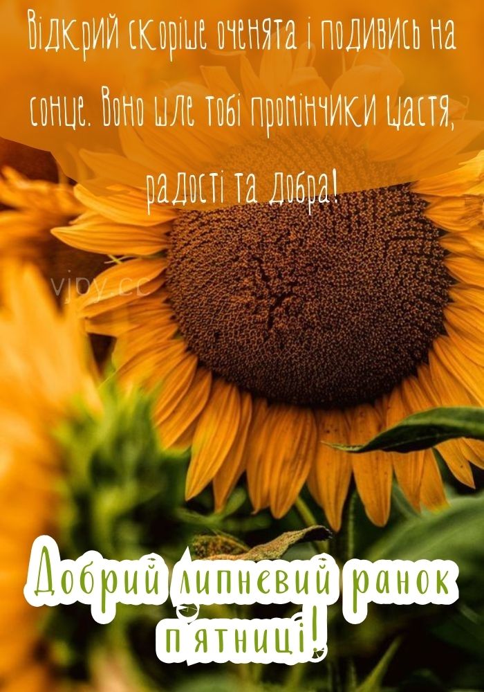 Бадьорого літнього ранку п'ятниці! 