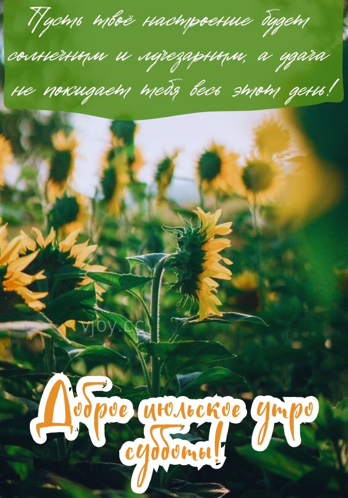 Июльские выходные, доброе утро.