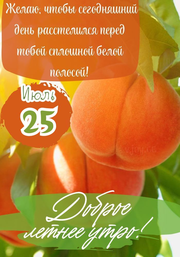 25 июля доброе летнее утро! - картинка.