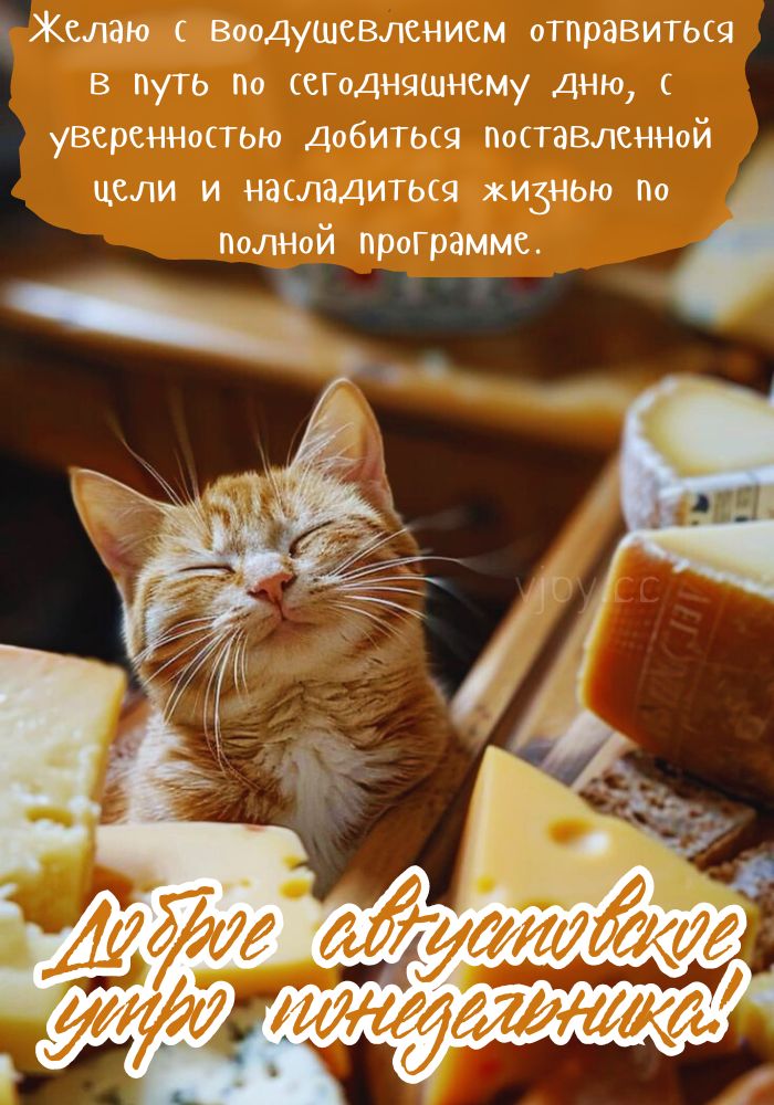 Понедельник, прекрасного августовского утра! 
