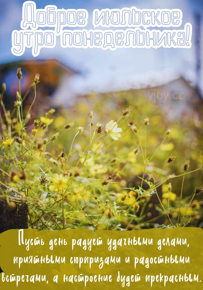 Понедельник, прекрасного июльского дня.