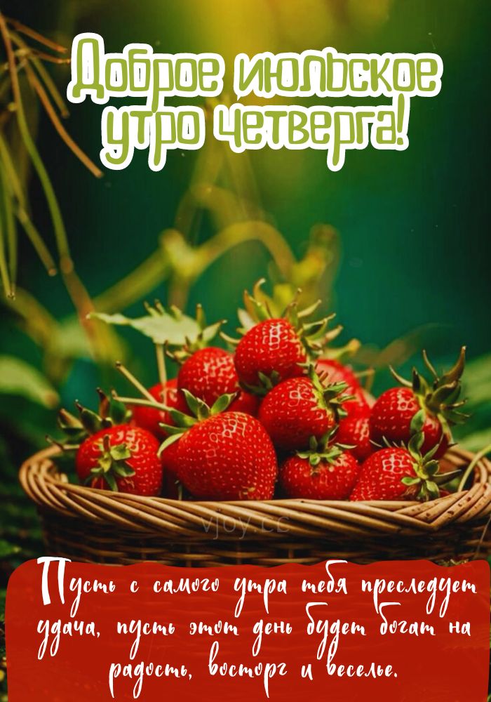 Клубника и июльское утро четверга.