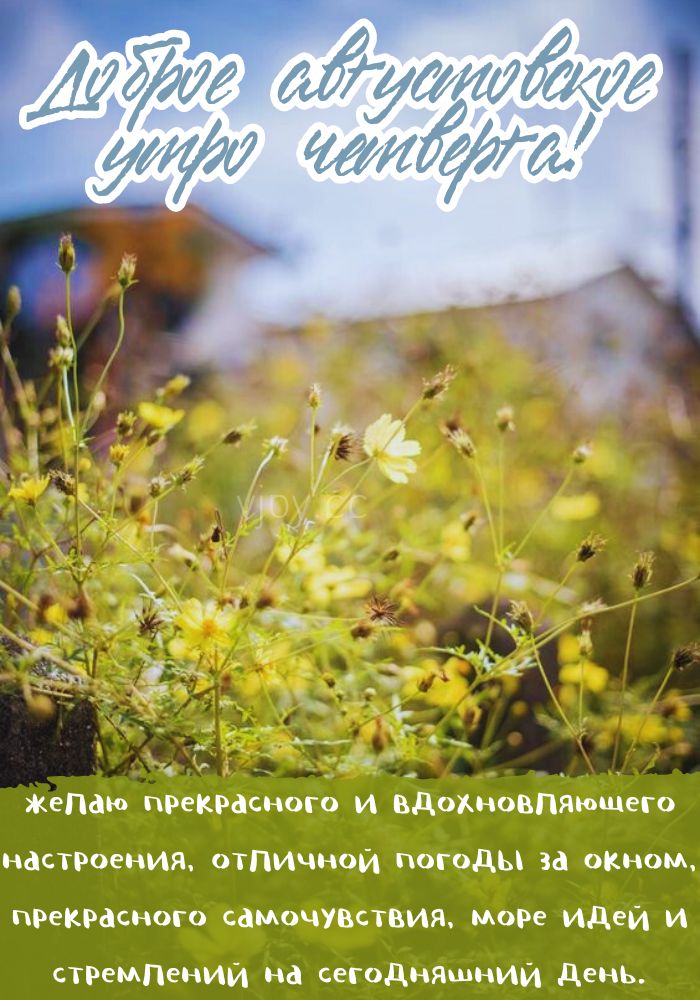 Удачного летнего четверга! 