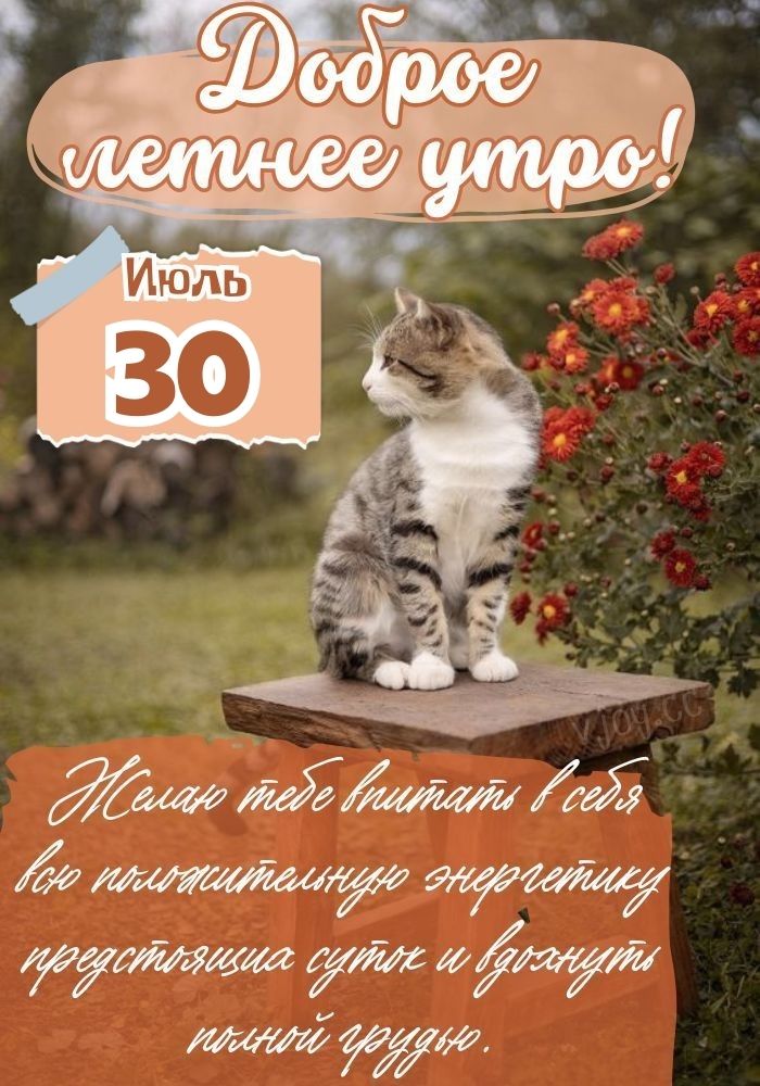 Добрый день 30 июля! 