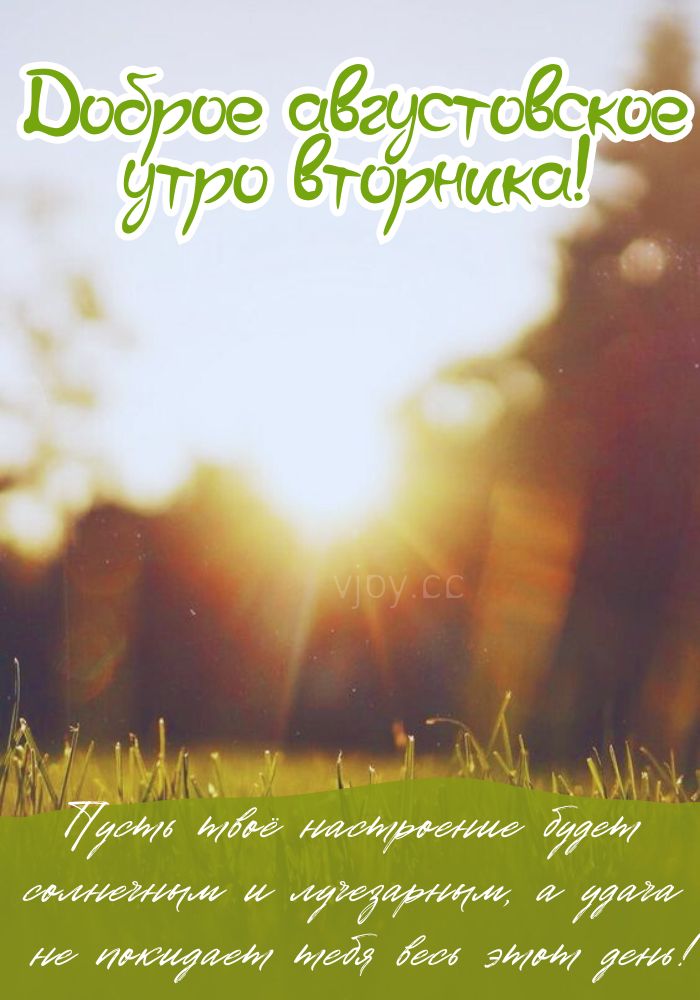 Солнечного утра во вторник! 