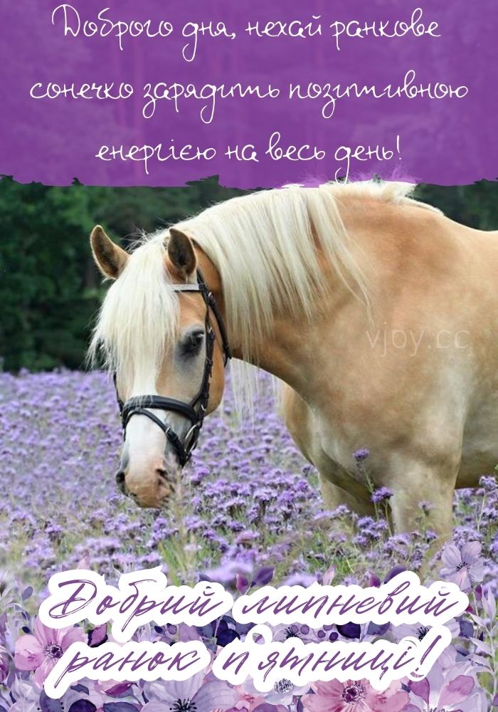 Добрий липневий ранок п'ятниці! 