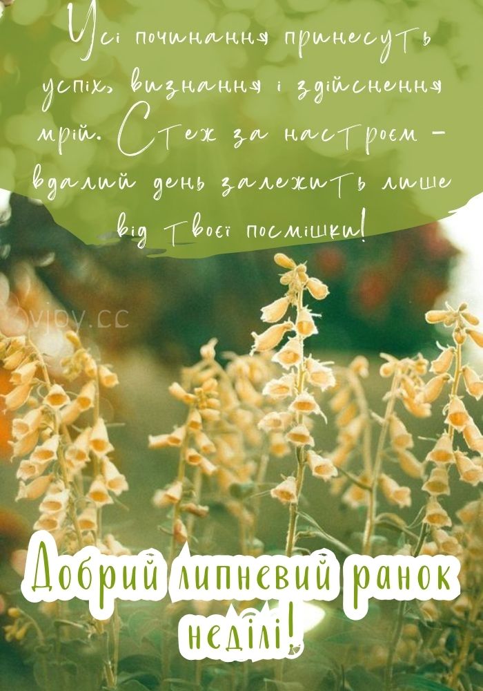 Прекрасного липневого ранку в неділю! 