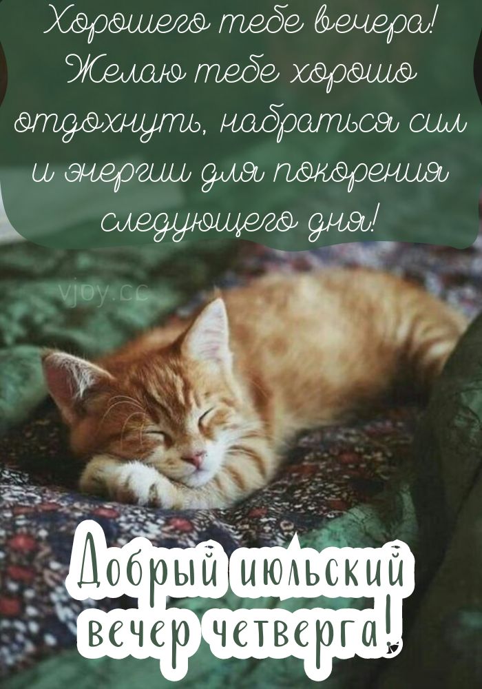 Четверг, приятного июльского вечера! 