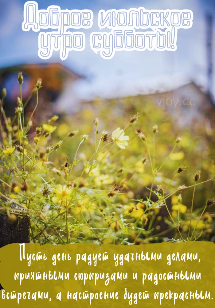 Доброго июльского утра субботы! - картинка.