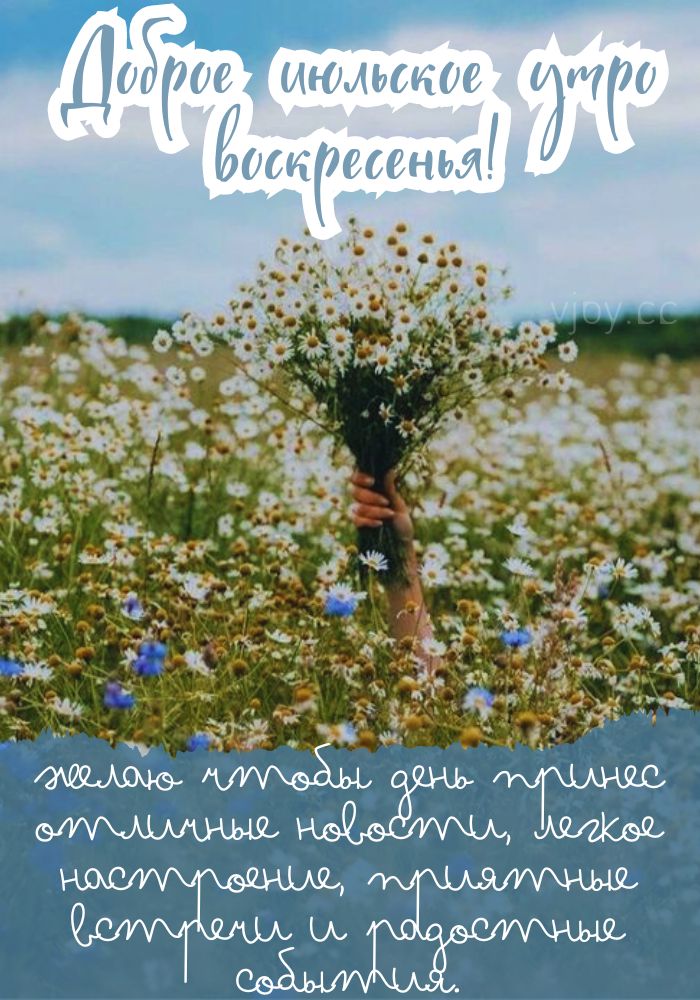 Воскресенье, доброе июльское утро! - картинка.