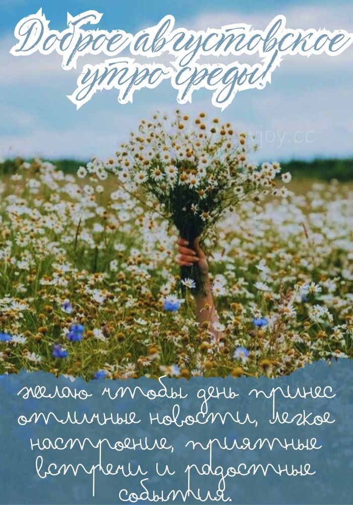 Хорошей летней среды!
