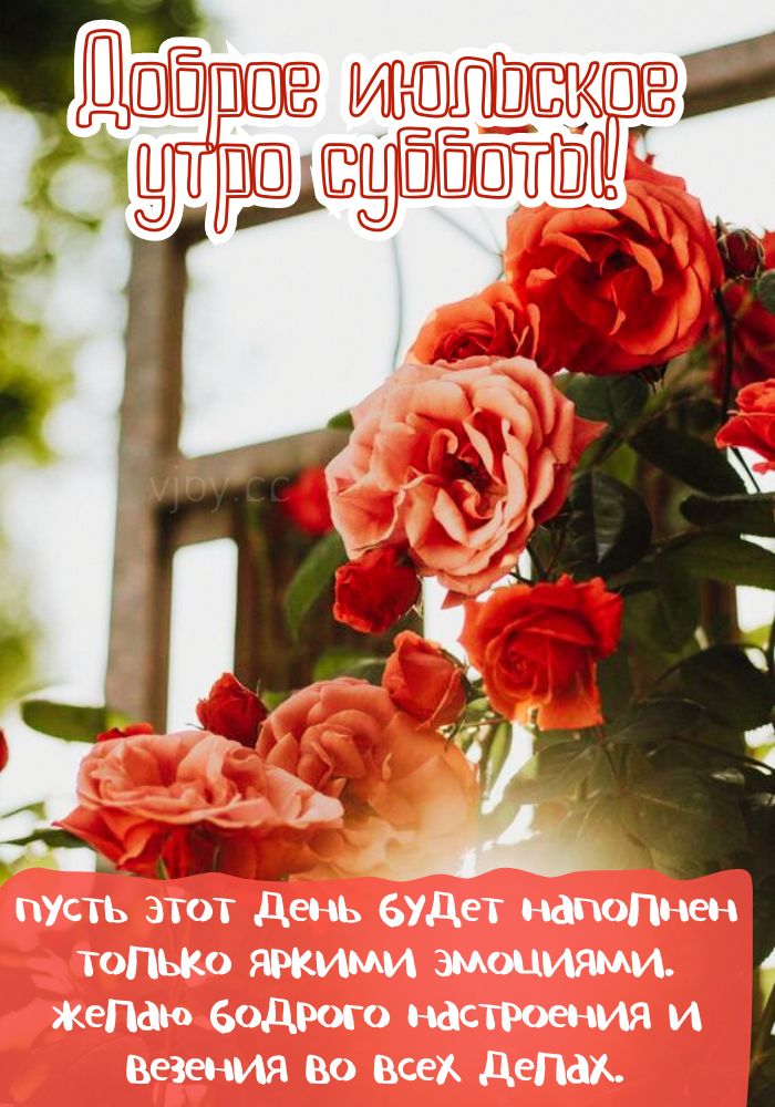 Июльское доброе утро субботы! - открытка.