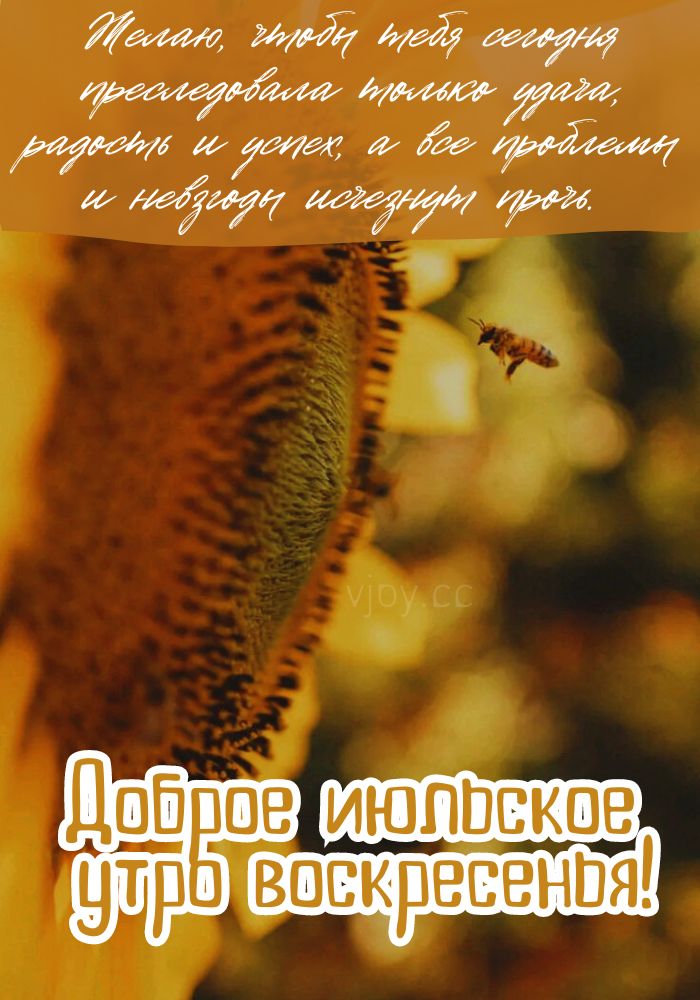Доброго июльского воскресного утра! - картинка.