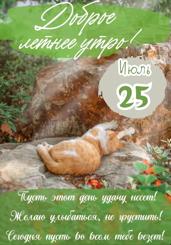 Удачного дня июльского.