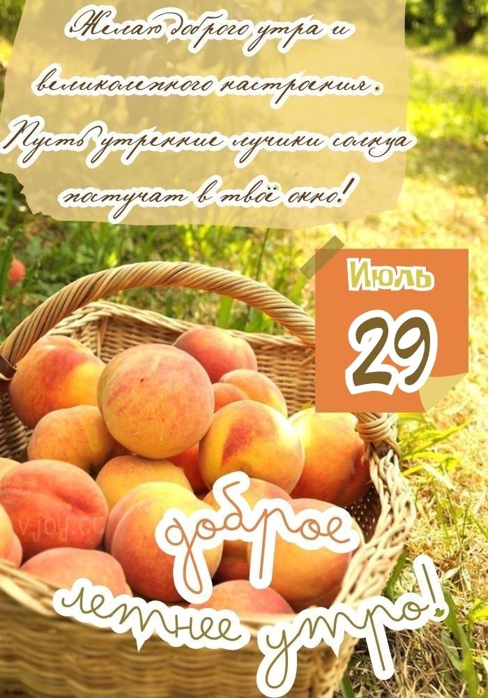 Прекрасного утра 29 июля! 