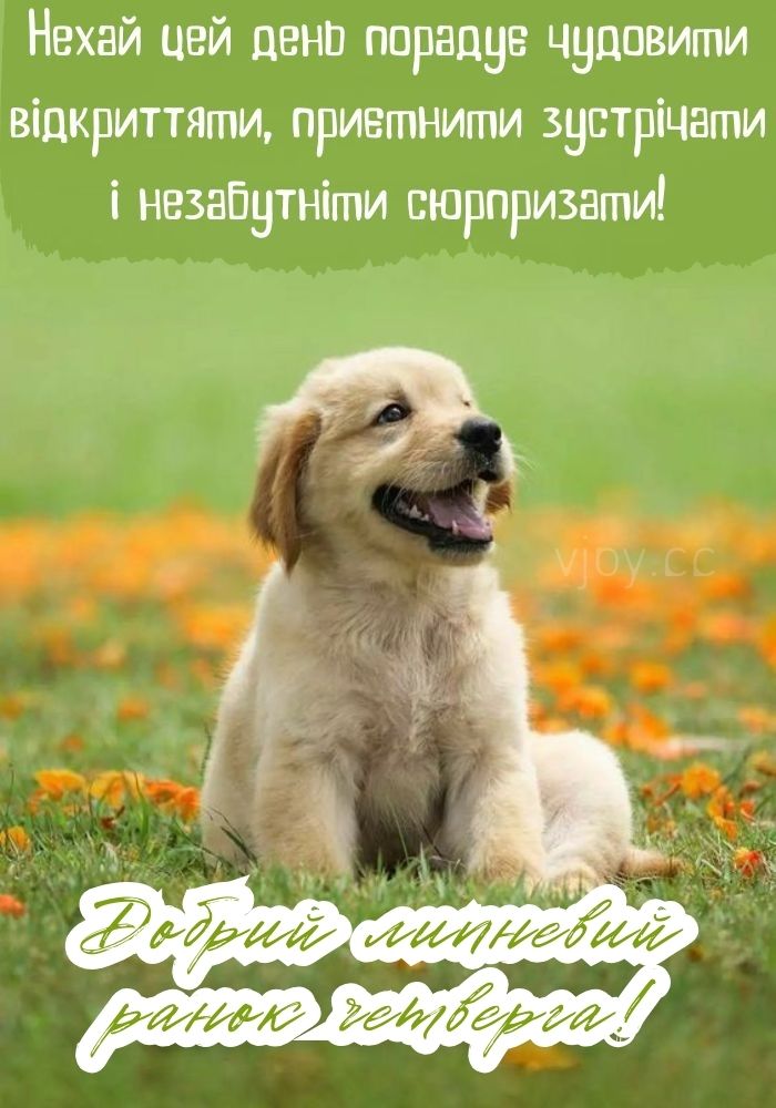 Прекрасного літнього четверга! 
