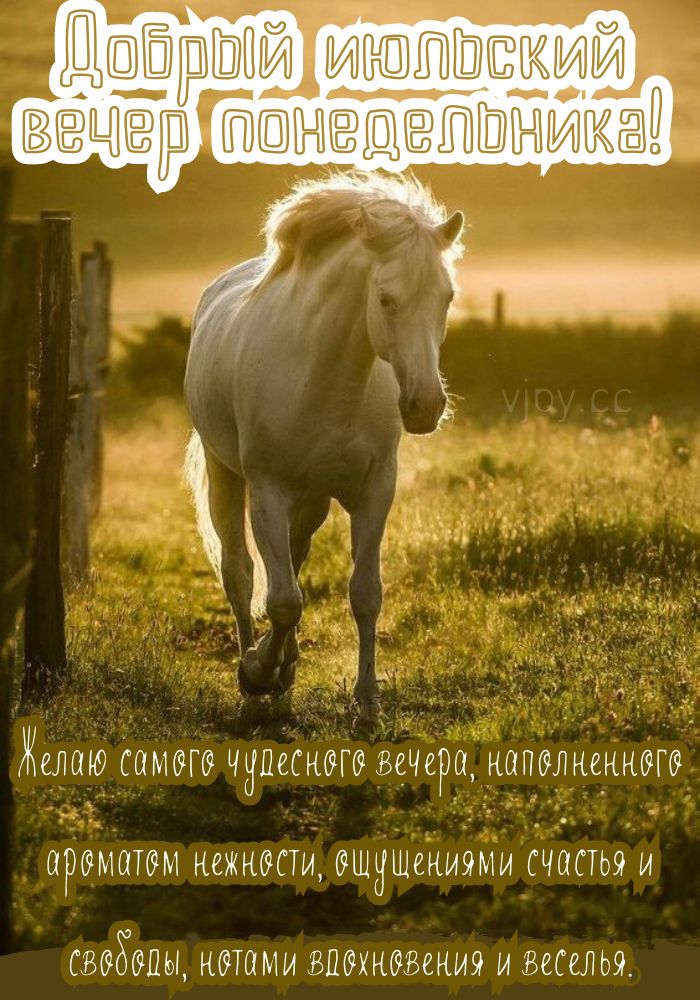 Июльский добрый вечер понедельника! - картинка. 