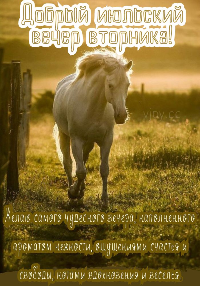 Красивая картинка с пожеланием хорошего июльского вечера вторника. 
