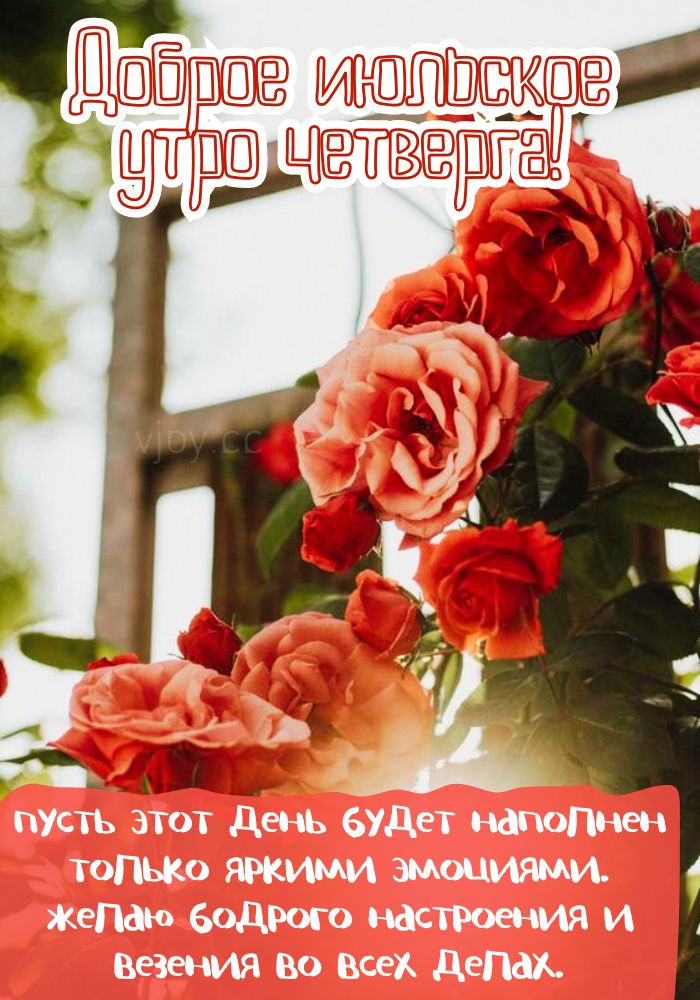 Хорошего июльского дня в четверг!