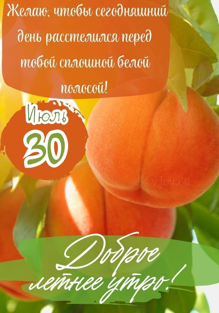 Доброе утро 30 июля! - картинка. 