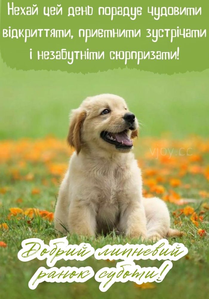 Липневого прекрасного ранку суботи! 
