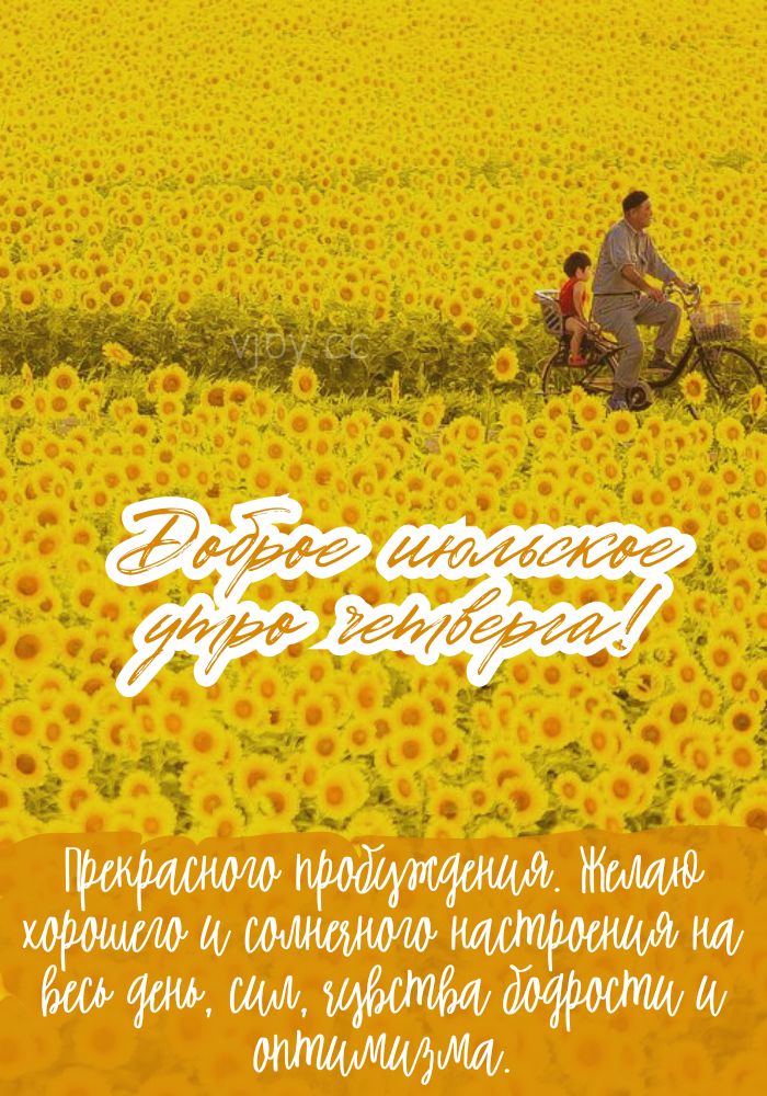 Солнечного июльского дня четверга!