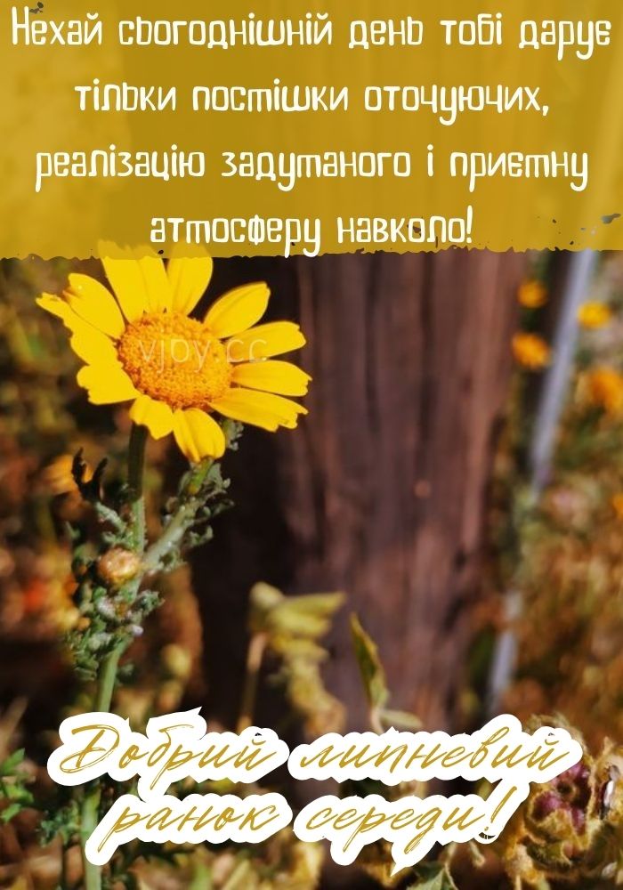 Гарної липневої середи! 
