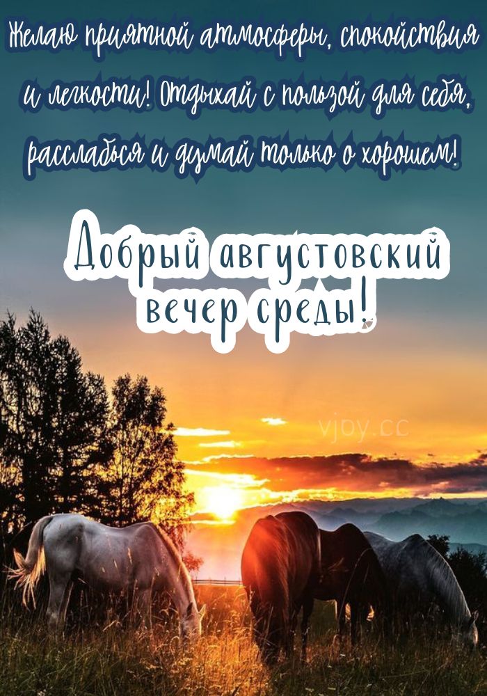 Добрый августовский вечер среды! - красивая картинка. 