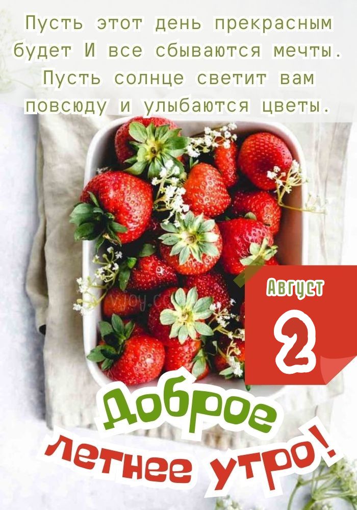 Удачного дня 2 августа! 