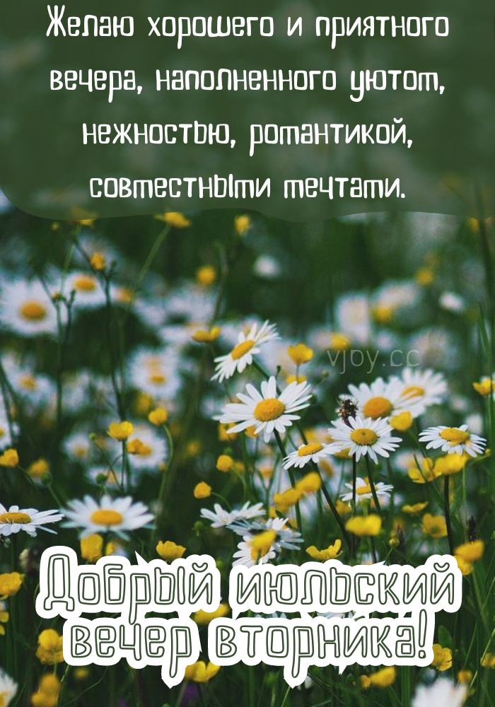 Прекрасный вечер вторника. 