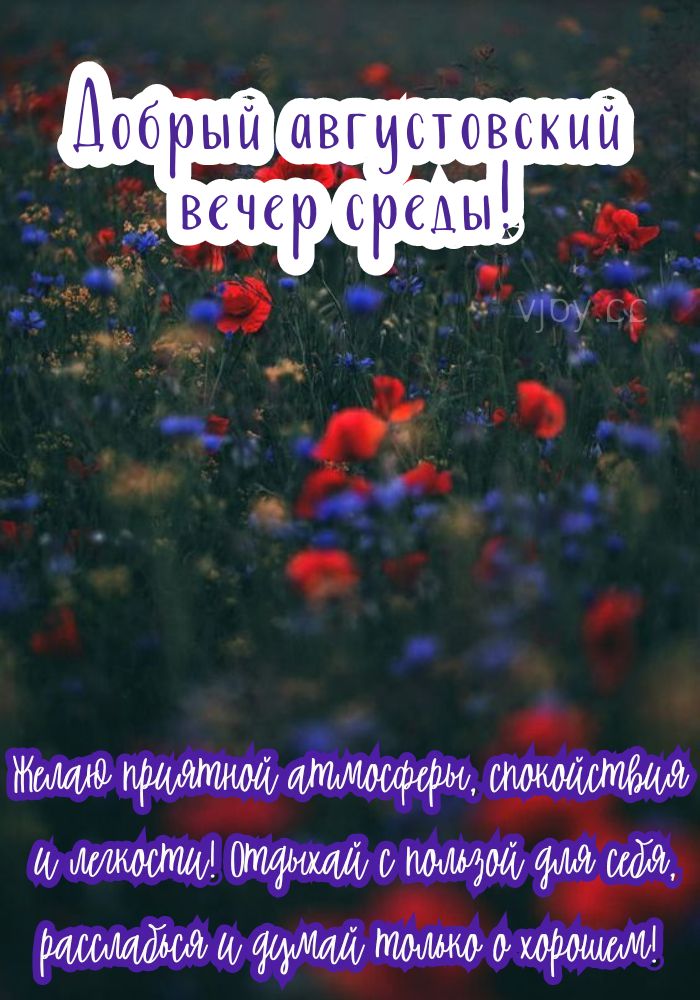 Чудесного вечера августа! 