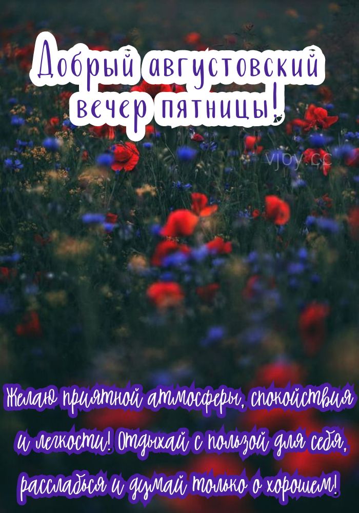 Комфортного августовского вечера. 