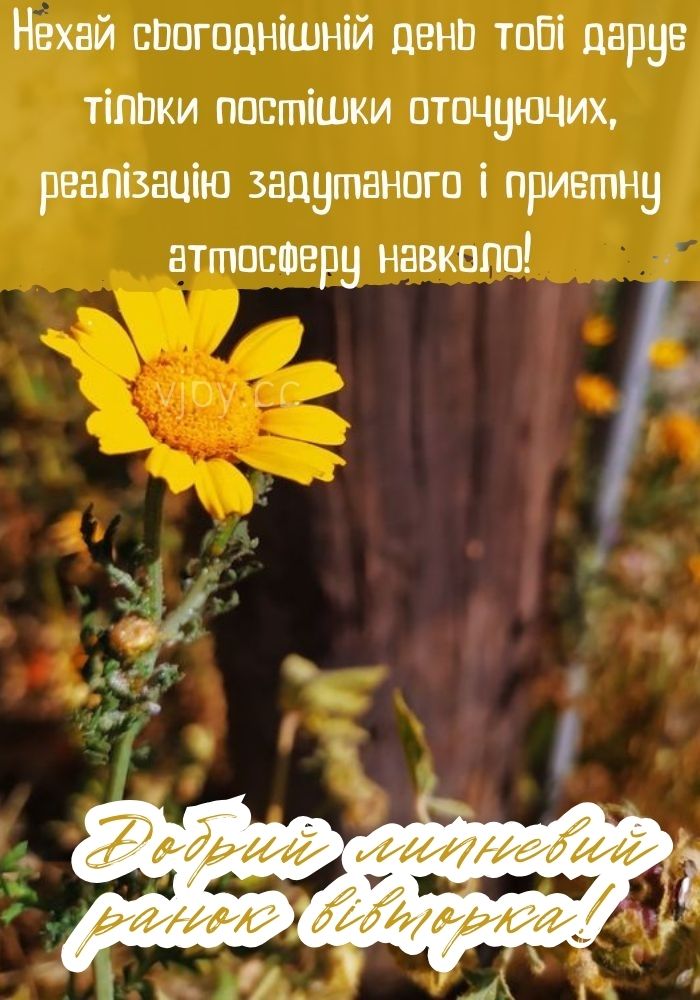 Літній добрий ранок вівторка! 