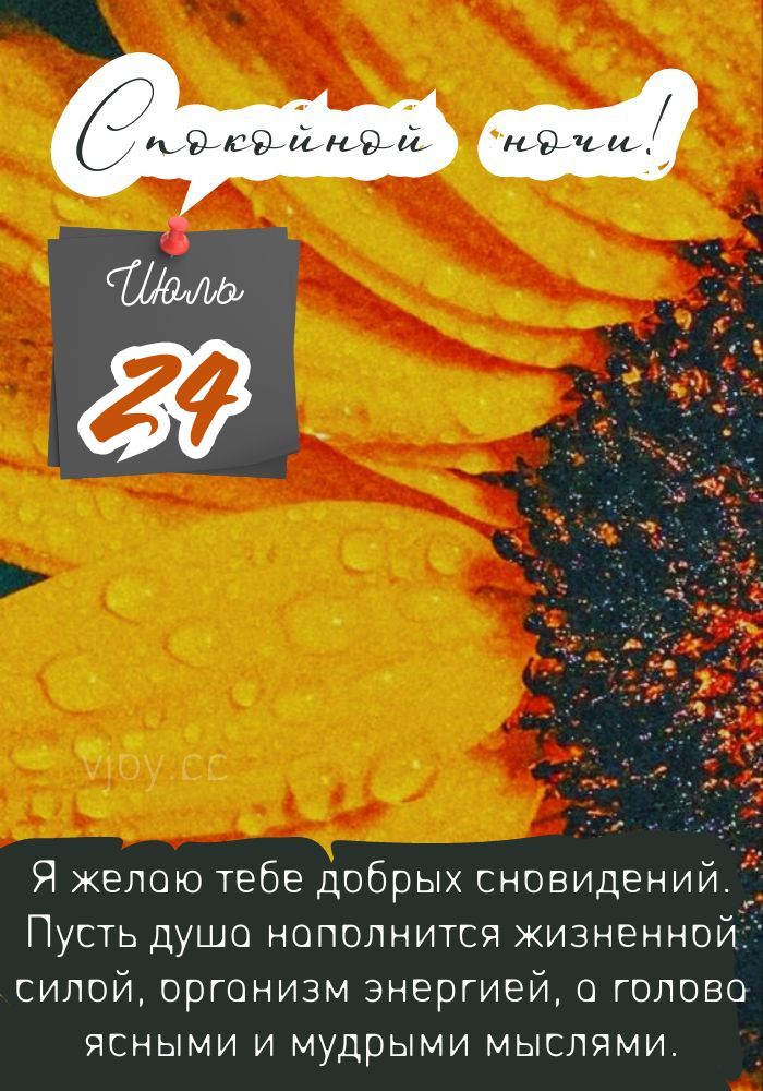 Прекрасной летней ночи 24 июля.