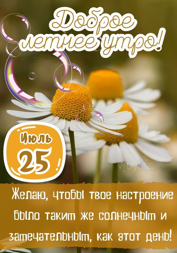 Летнее утро 25 июля.