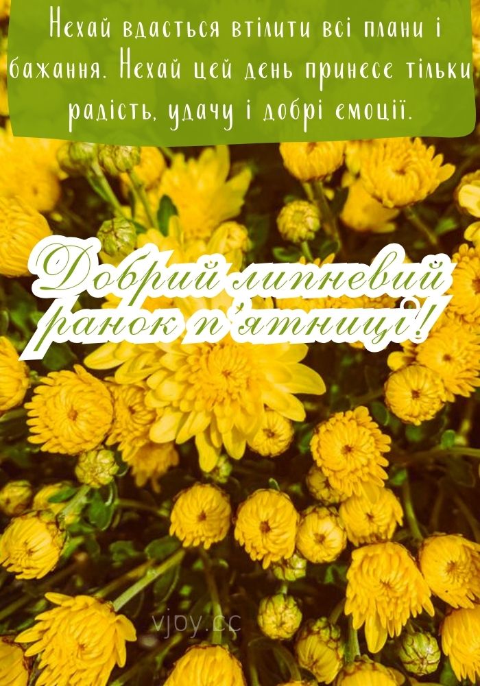 П'ятниця, добрий літній ранок! 