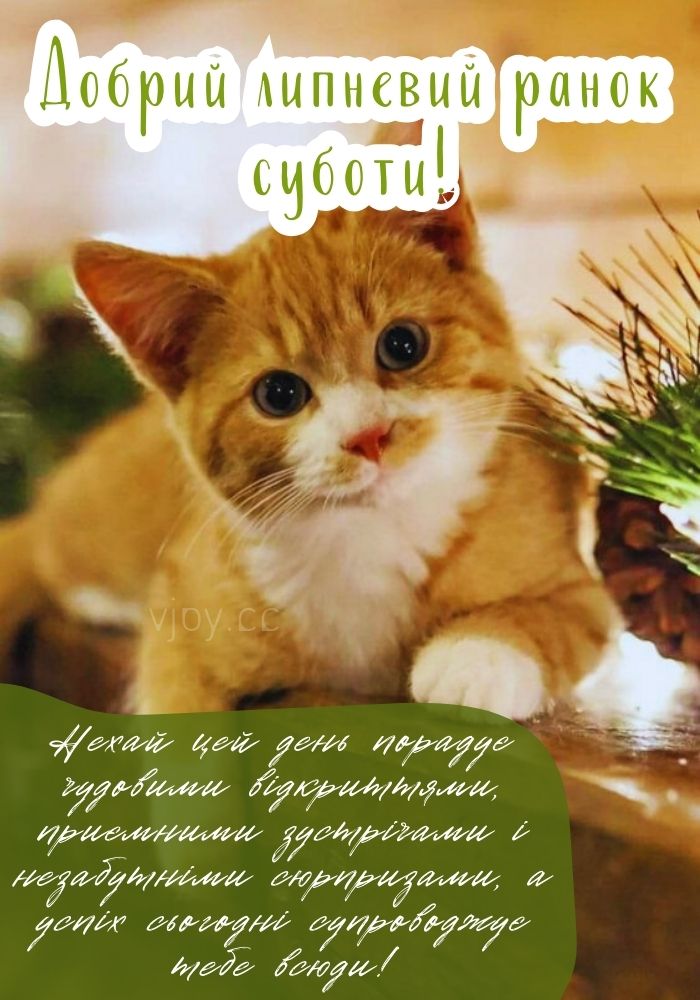 Прекрасної суботи бажаю! 