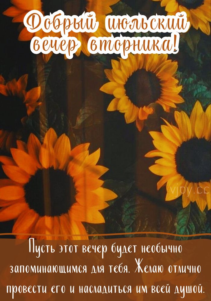 Вторник, добрый июльский вечер! 