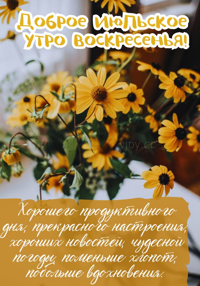 Удачного июльского воскресенья!