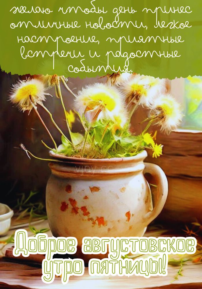 Чудесного августовского пятничного утра. 