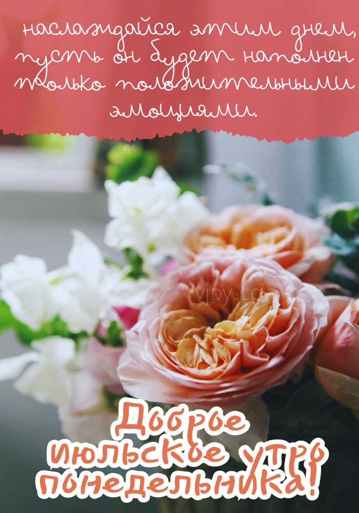 Понедельник, хорошего дня!