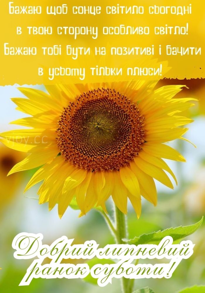 Радісного суботнього дня в липні! 