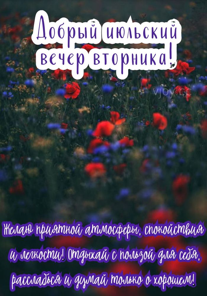 Отличного июльского вечера, вторник! 