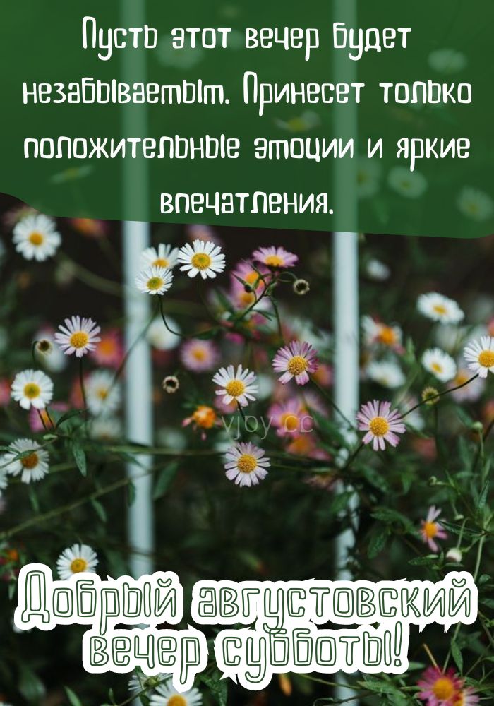 Позитивного субботнего августовского вечерочка.