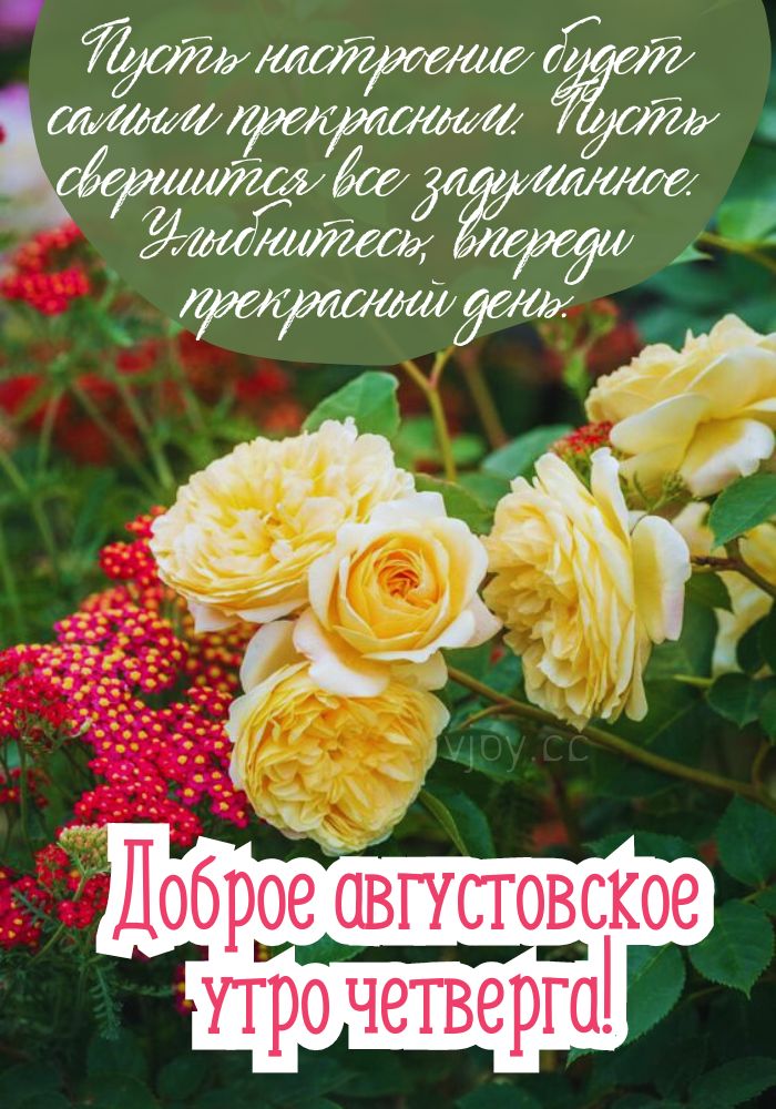 Хорошего августовского дня! 