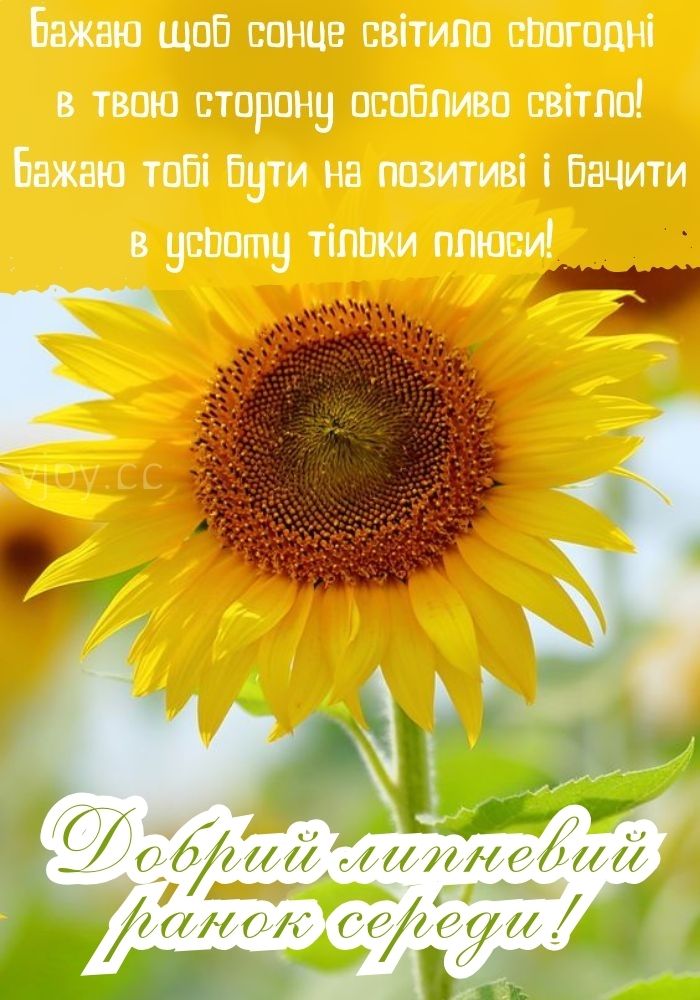 Хай ранок середи буде гарним! 