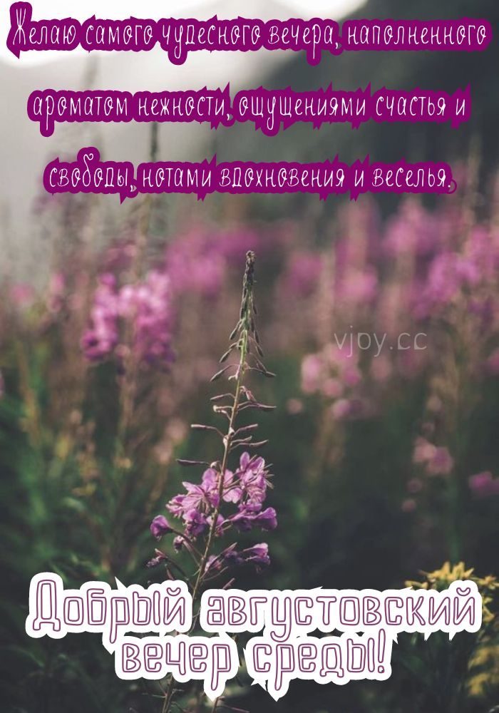 Приятного вечера летом! 